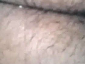 a pelo con osos